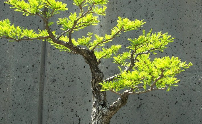 Pruning Neural Networks by Hand: A Gentle Introduction to Sparsity